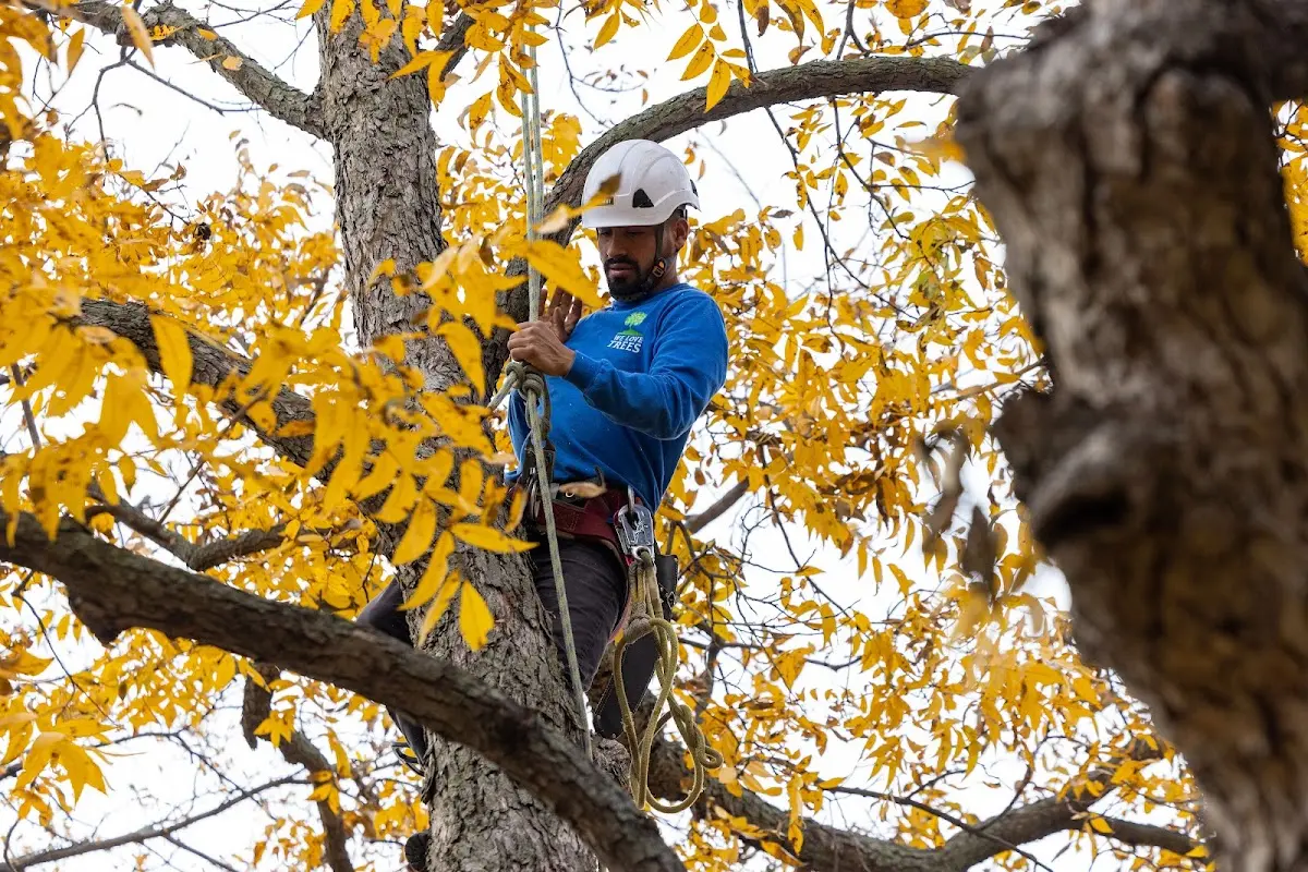 Skilled Storm Damage Cleanup crew working in Winona